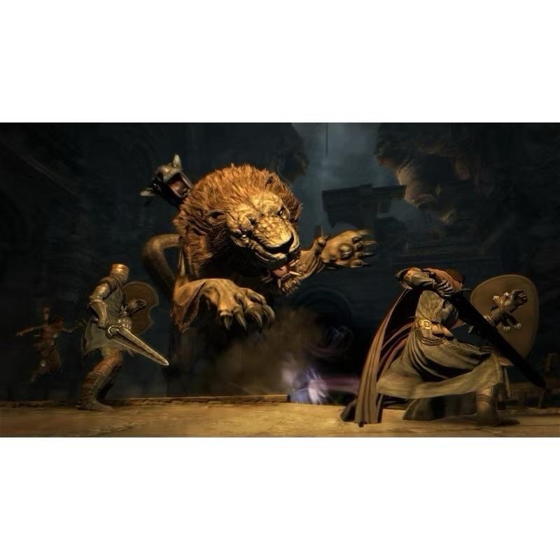 Switch 龍族教義 黑暗再臨 中文版 Dragon＇s Dogma Dark Arisen NS-細節圖2