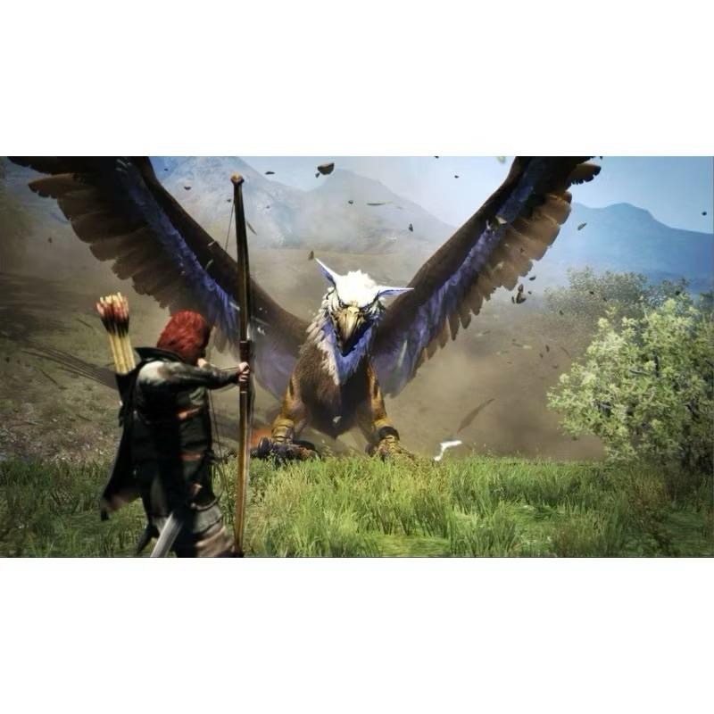Switch 龍族教義 黑暗再臨 中文版 Dragon＇s Dogma Dark Arisen NS-細節圖6