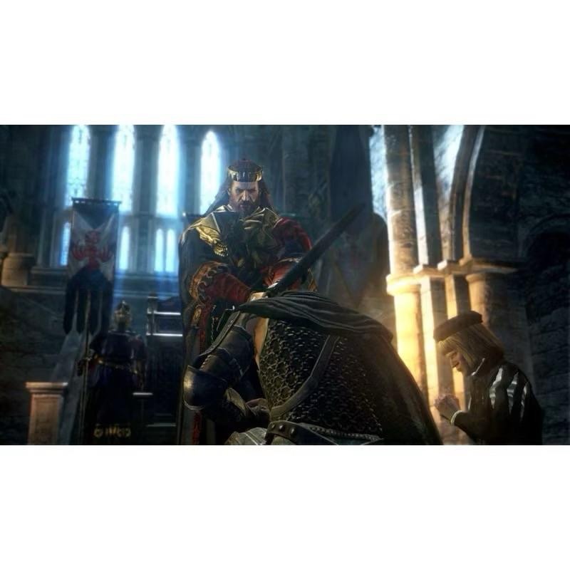 Switch 龍族教義 黑暗再臨 中文版 Dragon＇s Dogma Dark Arisen NS-細節圖7