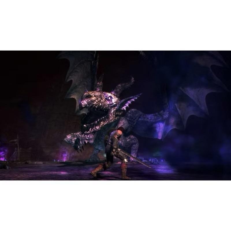 Switch 龍族教義 黑暗再臨 中文版 Dragon＇s Dogma Dark Arisen NS-細節圖8