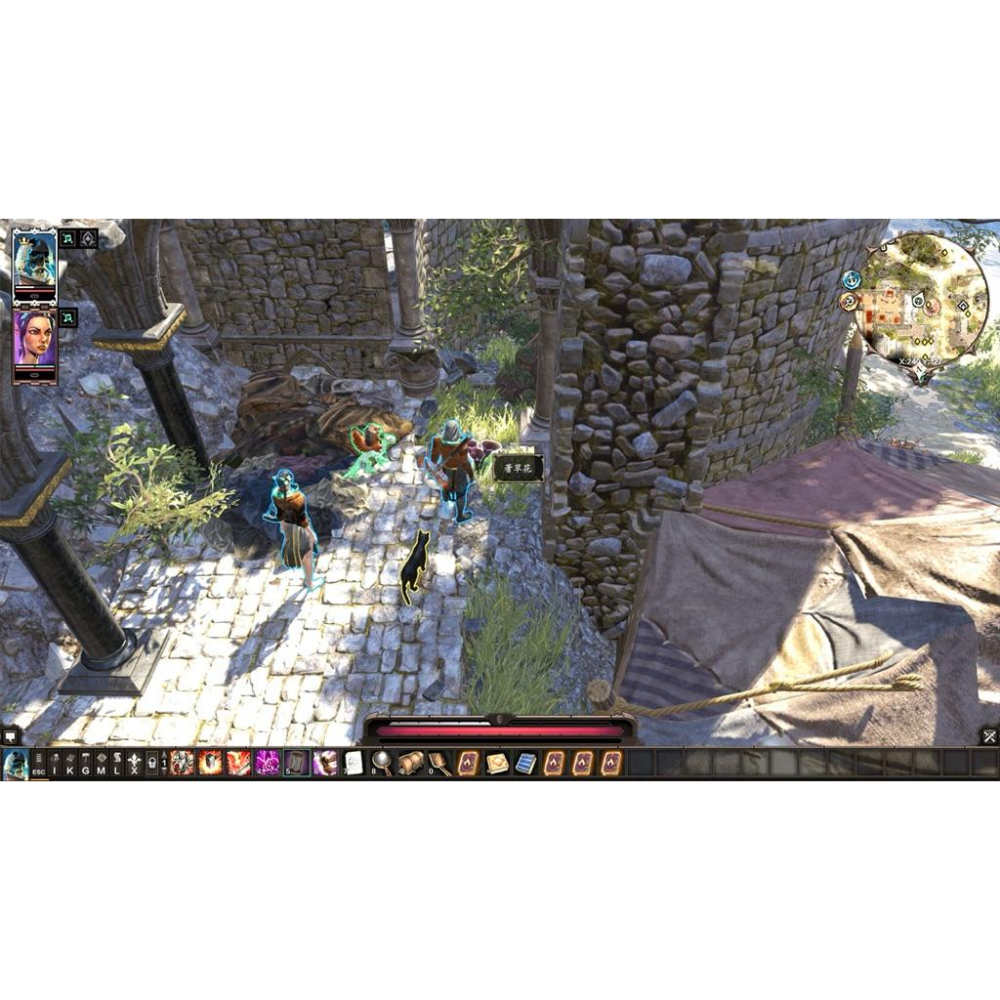 PS4 神諭 原罪2 終極版 中文版 可單機雙人合作 PS5也可玩 神界 Divinity Original Sin 2-細節圖5