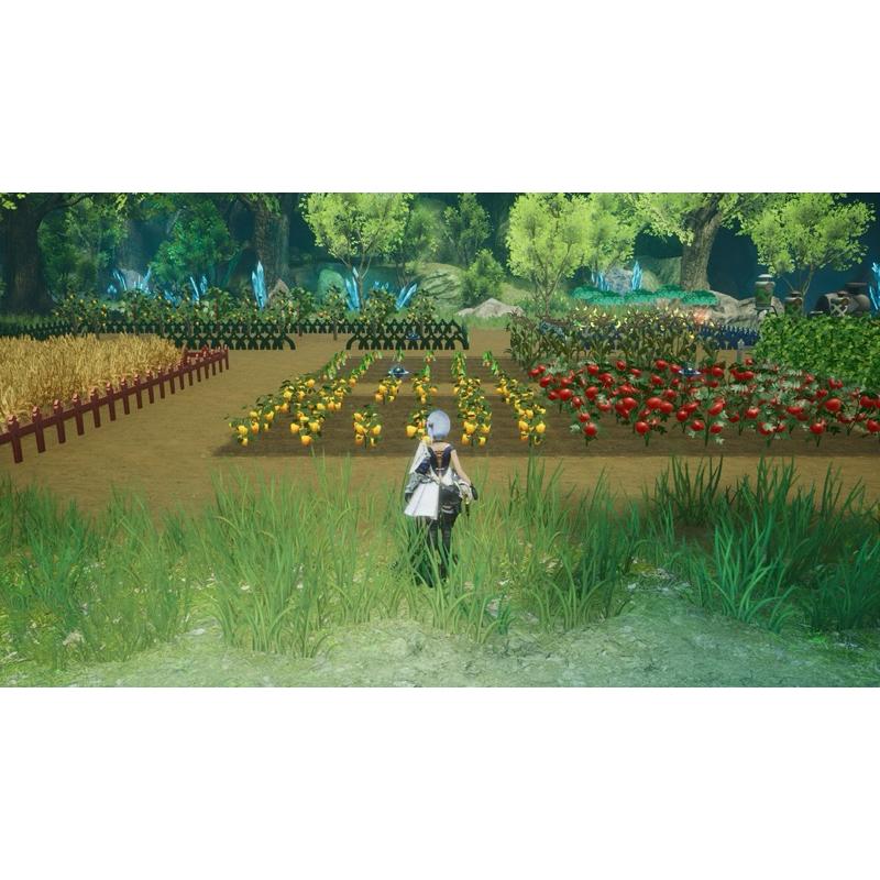 Switch 收穫之星 中文版 實體 遊戲片 農場 RPG 收獲之星 Harvestella 任天堂 NS-細節圖4