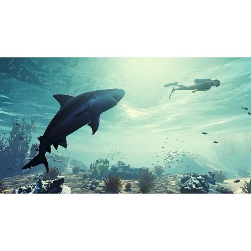 PS5 食人鯊 中文版 Maneater 扮演頂級掠食者巨型鯊魚 海洋獵殺之旅 開放世界-細節圖5