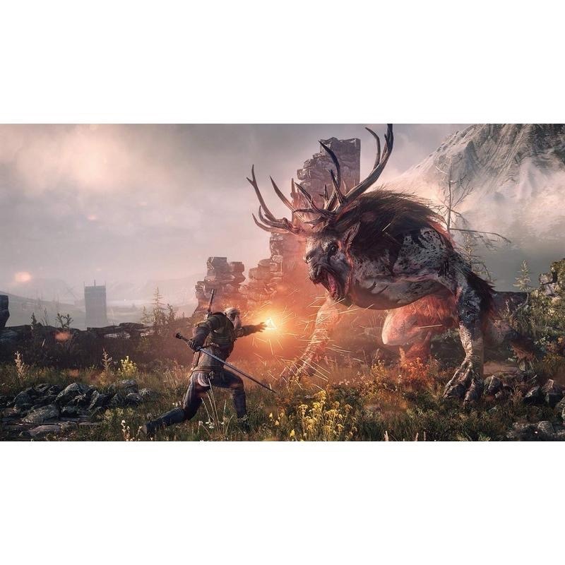 Switch 巫師3 完全版 中文版 巫師三 完整版 狂獵 The Witcher 3 NS-細節圖2