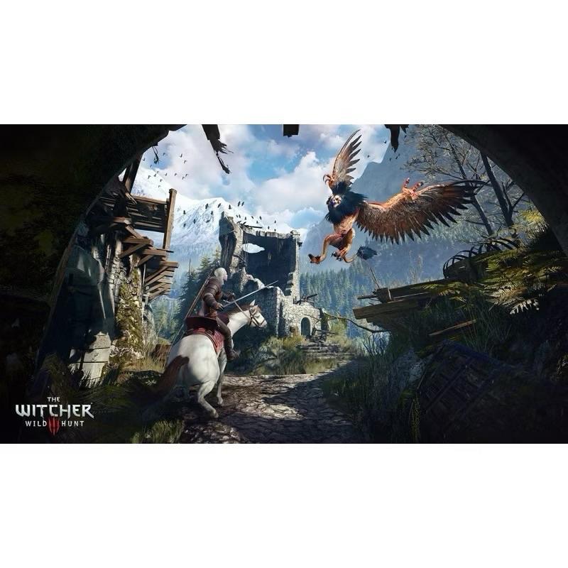 Switch 巫師3 完全版 中文版 巫師三 完整版 狂獵 The Witcher 3 NS-細節圖5