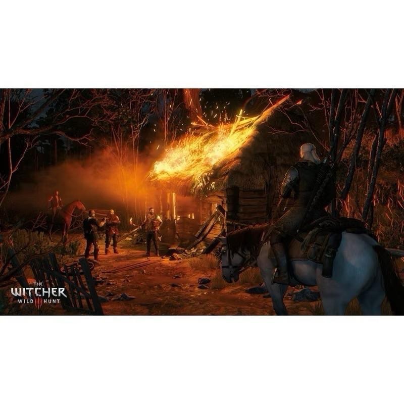 Switch 巫師3 完全版 中文版 巫師三 完整版 狂獵 The Witcher 3 NS-細節圖6