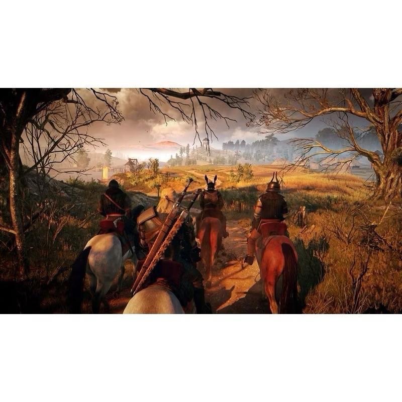 Switch 巫師3 完全版 中文版 巫師三 完整版 狂獵 The Witcher 3 NS-細節圖7
