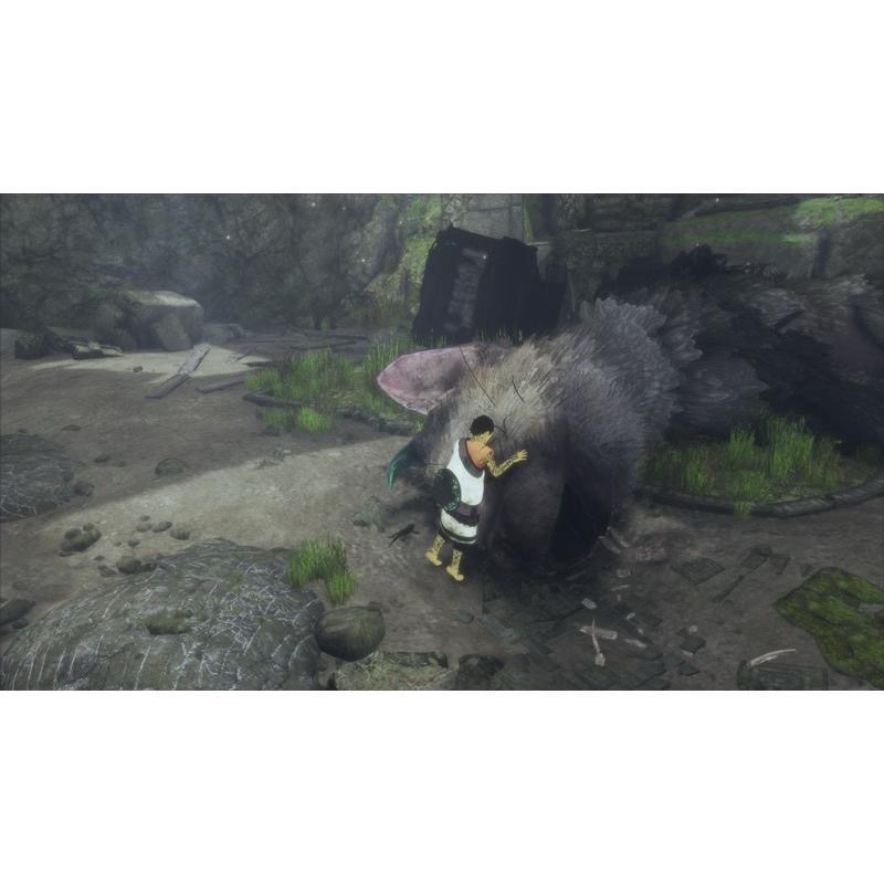 PS4 食人巨鷹 最後的守護者 中文版 PS5 也可玩 TRICO The Last Guardian-細節圖5