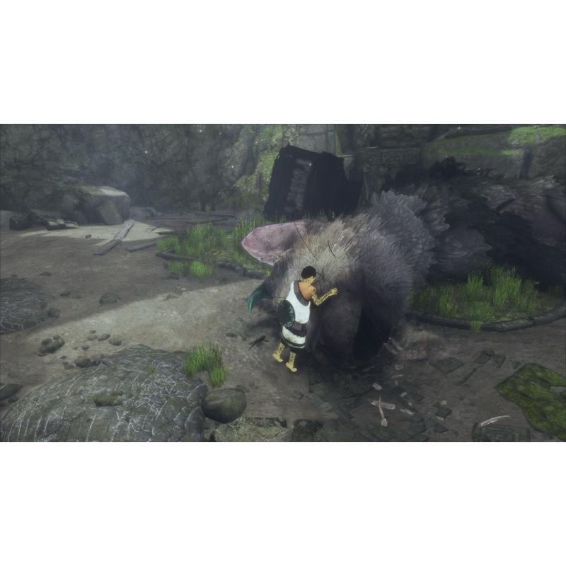 PS4 食人巨鷹 最後的守護者 中文版 PS5 也可玩 TRICO The Last Guardian-細節圖5