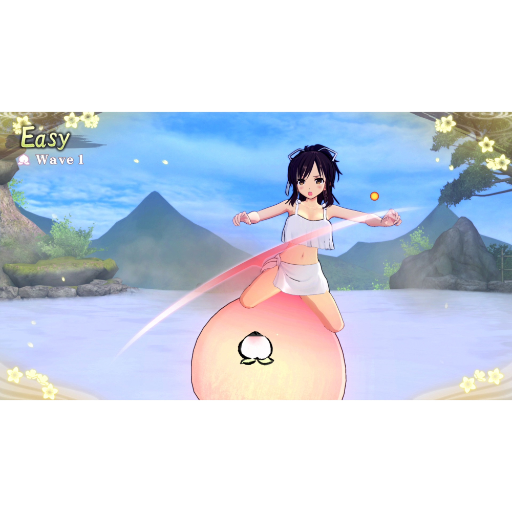 Switch 閃亂忍忍忍者大戰戰機少女 少女們的響艷 中文版 閃亂神樂 戰機少女 NS-細節圖5