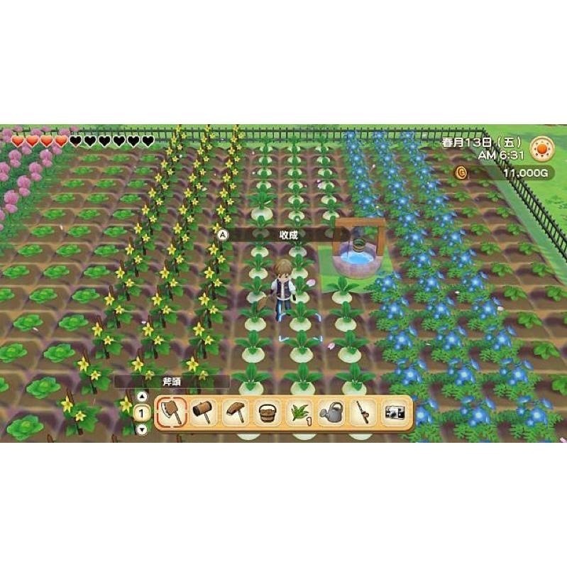 Switch 牧場物語 橄欖鎮與希望的大地 中文版 療癒舒壓 農場模擬 釣魚 建造 經營 NS-細節圖4