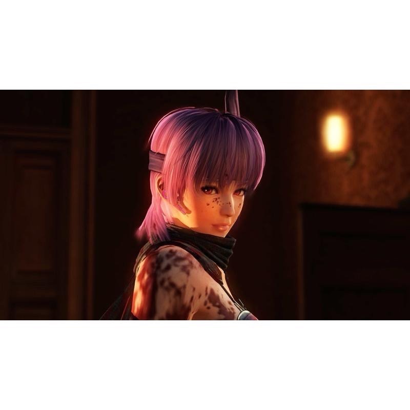 PS4 忍者外傳 大師合輯 中文版 PS5也可玩 三部曲 動作冒險遊戲 龍隼 NINJA GAIDEN Master-細節圖7