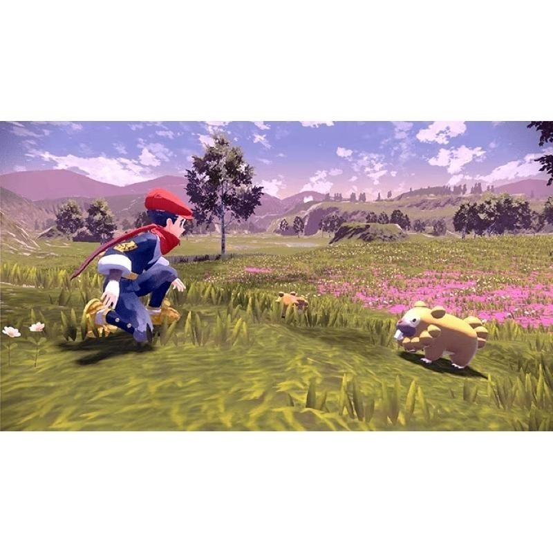Switch 寶可夢傳說 阿爾宙斯 中文版 神奇寶貝 Pokemon NS-細節圖2