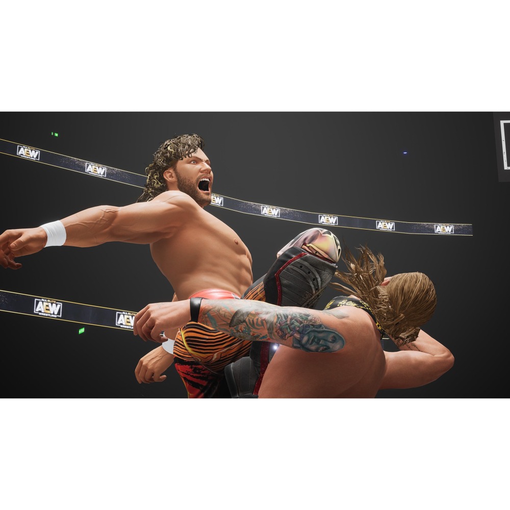 Switch 全精英摔角 戰無止境 中文版 可單機多人 AEW Fight Forever NS 擂台格鬥-細節圖2