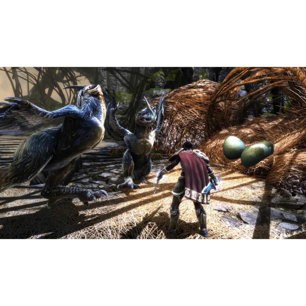 PS4 大地王國 罪與罰 中文版 PS5 也可玩 Kingdoms of Amalur Re-Reckoning-細節圖2