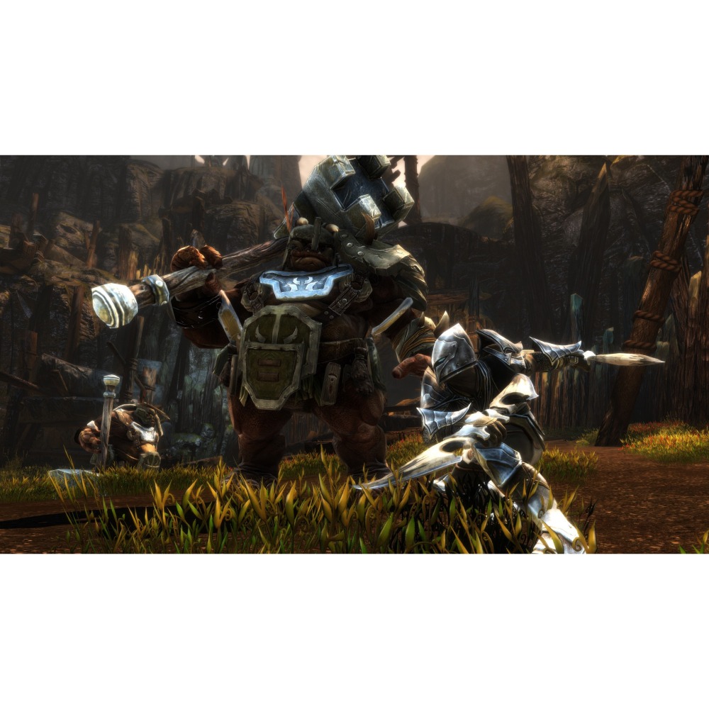 PS4 大地王國 罪與罰 中文版 PS5 也可玩 Kingdoms of Amalur Re-Reckoning-細節圖5