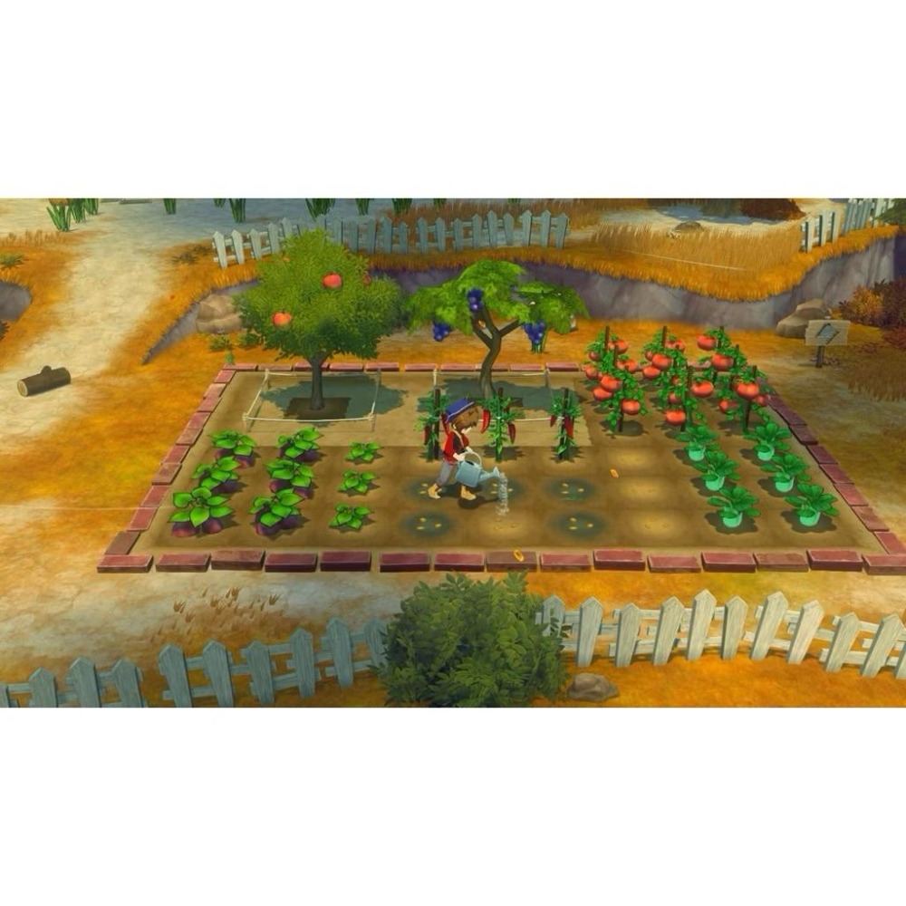 Switch 牧場物語 來吧 風之繁華市集 中文版 農場 經營 生活模擬 NS-細節圖2