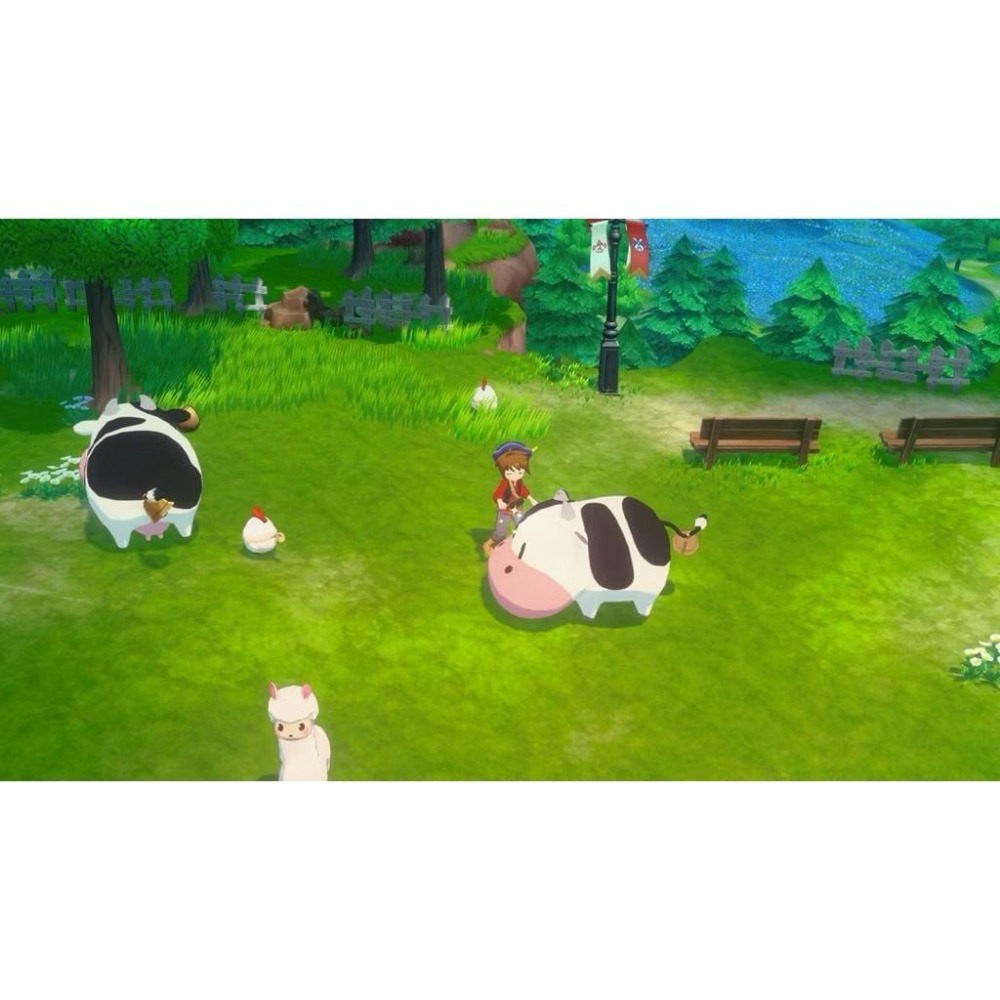 Switch 牧場物語 來吧 風之繁華市集 中文版 農場 經營 生活模擬 NS-細節圖3