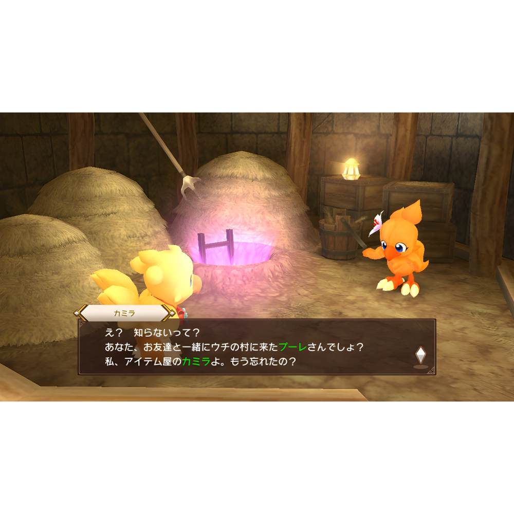 Switch 陸行鳥大冒險 EVERY BUDDY 英日文版 可單機雙人 NS-細節圖5