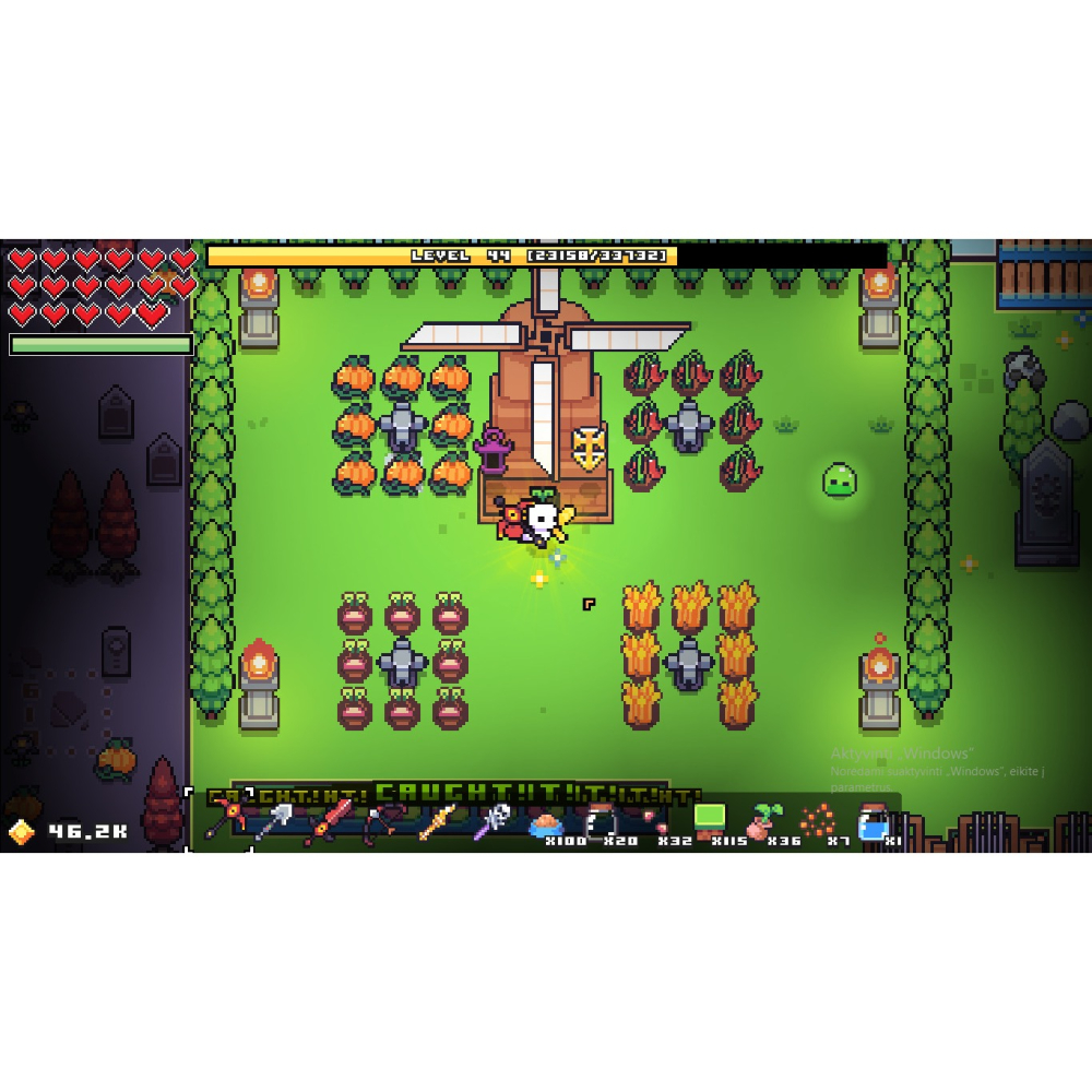 Switch 浮島物語 覓食者 中文版 Forager NS-細節圖4