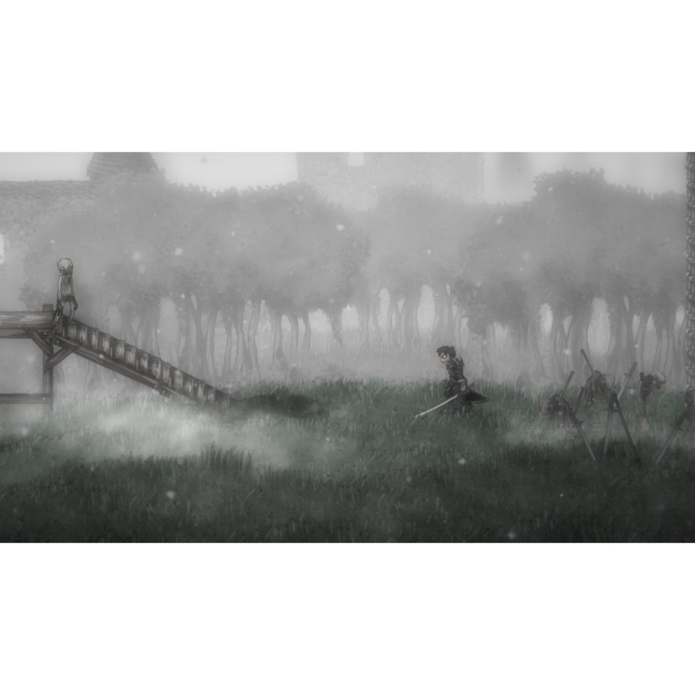 Switch 鹽與聖所 中文版 可單機雙人 鹽和避難所 Salt and Sanctuary NS-細節圖6