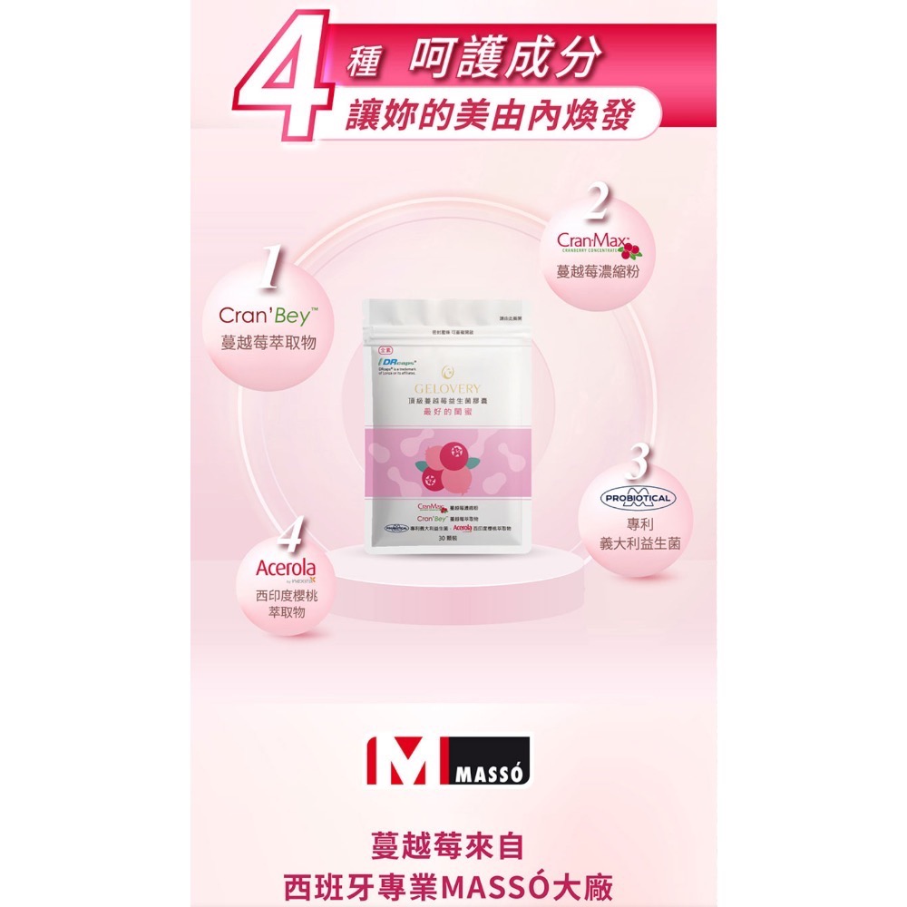 Gelovery 頂級蔓越莓益生菌膠囊『 單包 30顆 』（全素）-細節圖2