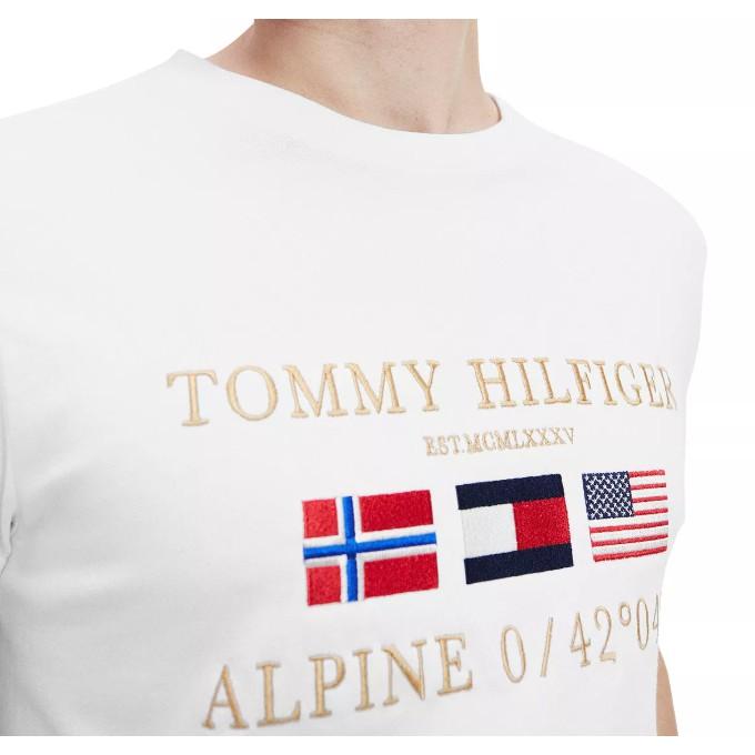 💯保證正品💯Tommy Hilfiger 短袖 T恤 短T 經典大Logo 成人版 69-1【Huang-RL】™-細節圖4