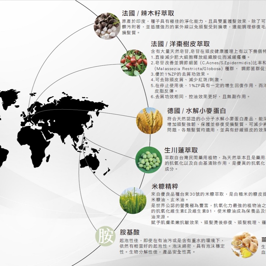 植森植萃洗髮精-細節圖4