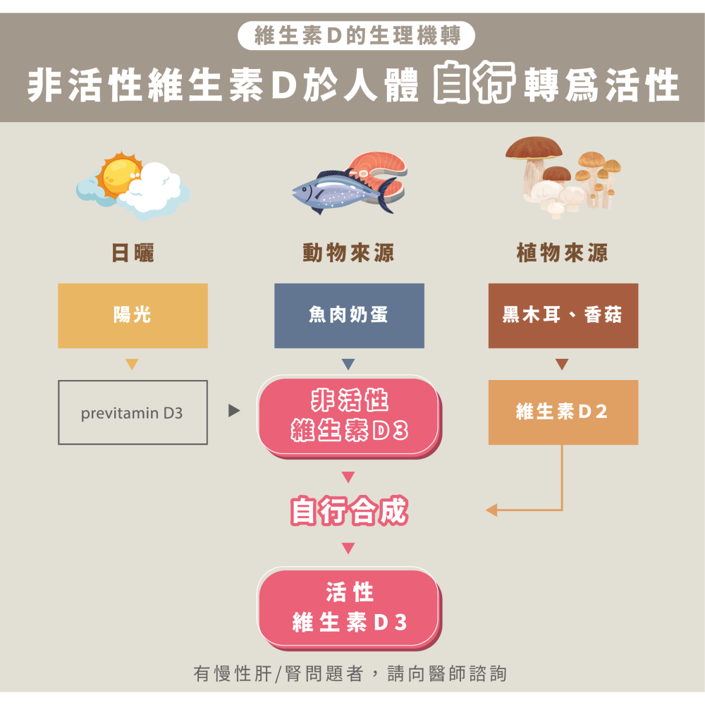 非活性高單位維生素Ｄ3(210錠)｜Dr.Nutri｜800IU羊毛脂來源｜無色素｜原價1259元-細節圖4