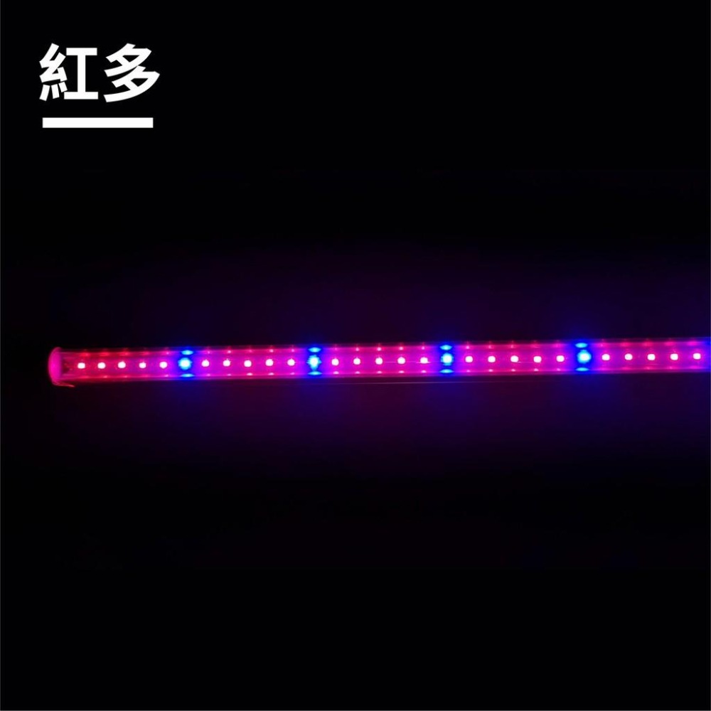 LED 植物生長燈 T5 1呎 2呎 3呎 4呎 水族燈 全光譜 多肉植物照明 植栽 育苗燈 魚菜共生 溫室照明-細節圖7