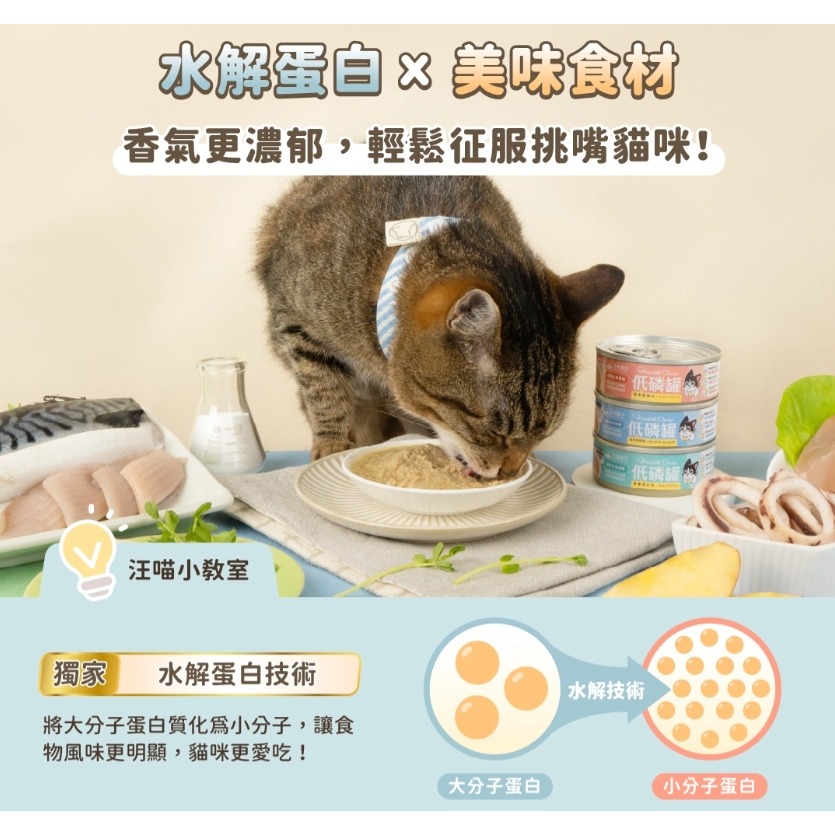 箱購優惠｜汪喵星球｜低磷低蛋白主食罐 80g｜貓罐頭 主食罐 低磷罐  汪喵-細節圖4