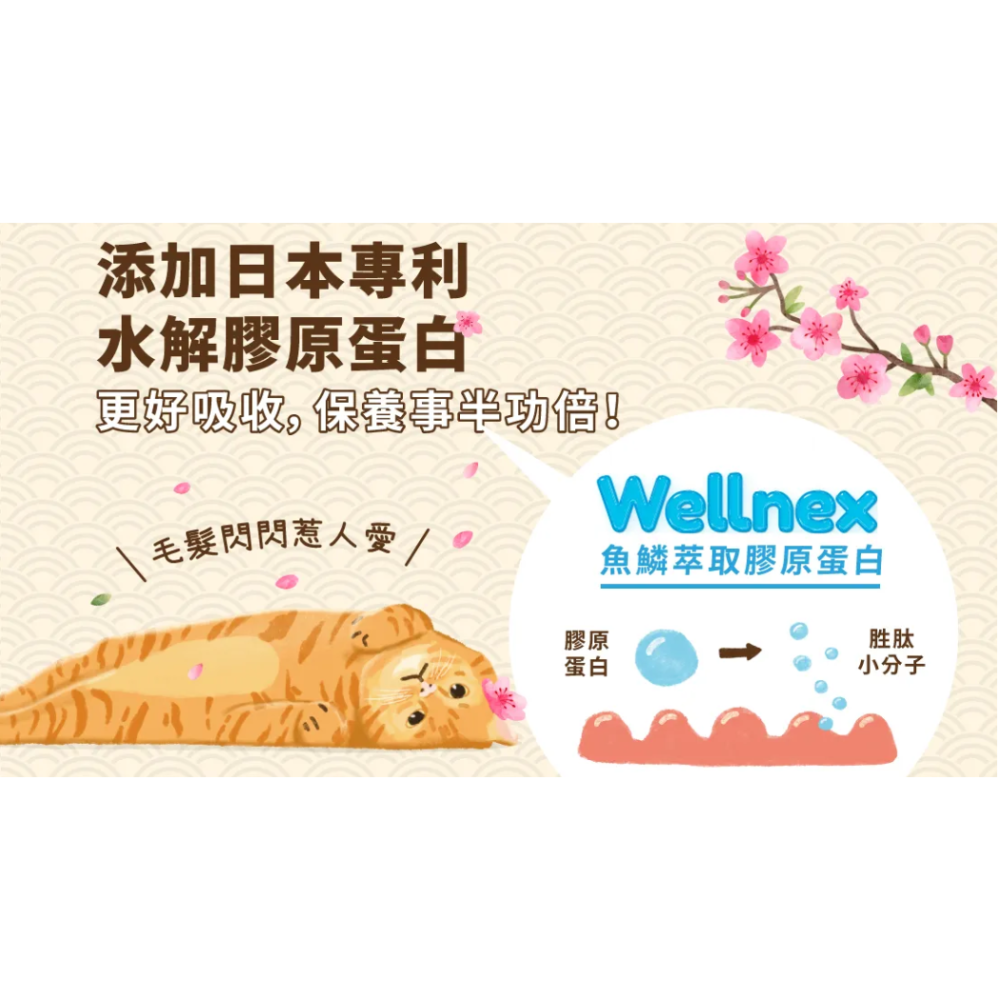 HEROMAMA｜阿嬤養的 機能手切肉乾30g｜肉乾 零食 貓犬適用-細節圖3