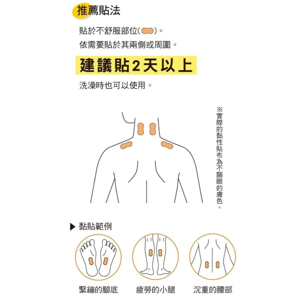 【易利氣】大判磁力貼 大範圍型 (6片/盒) 血液循環 磁力貼 緩解疲勞 800高斯-細節圖8