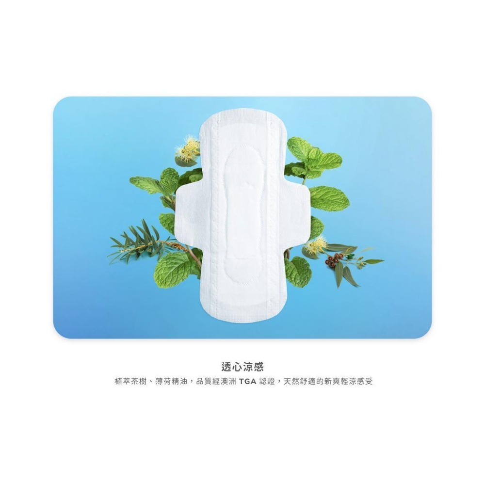【愛康】超透氣衛生棉｜護墊、日用、夜用、加長、特長《康宜庭藥局》《保證原廠貨》-細節圖4