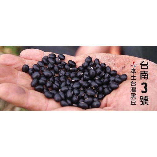 幸福千千歲黑豆茶經濟包-細節圖2