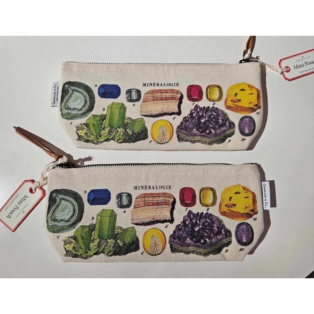 美國 Cavallini & Co. 復刻文房 『 礦石圖鑑』 Mineralogy 拉鍊長型 筆袋 收納袋-細節圖3