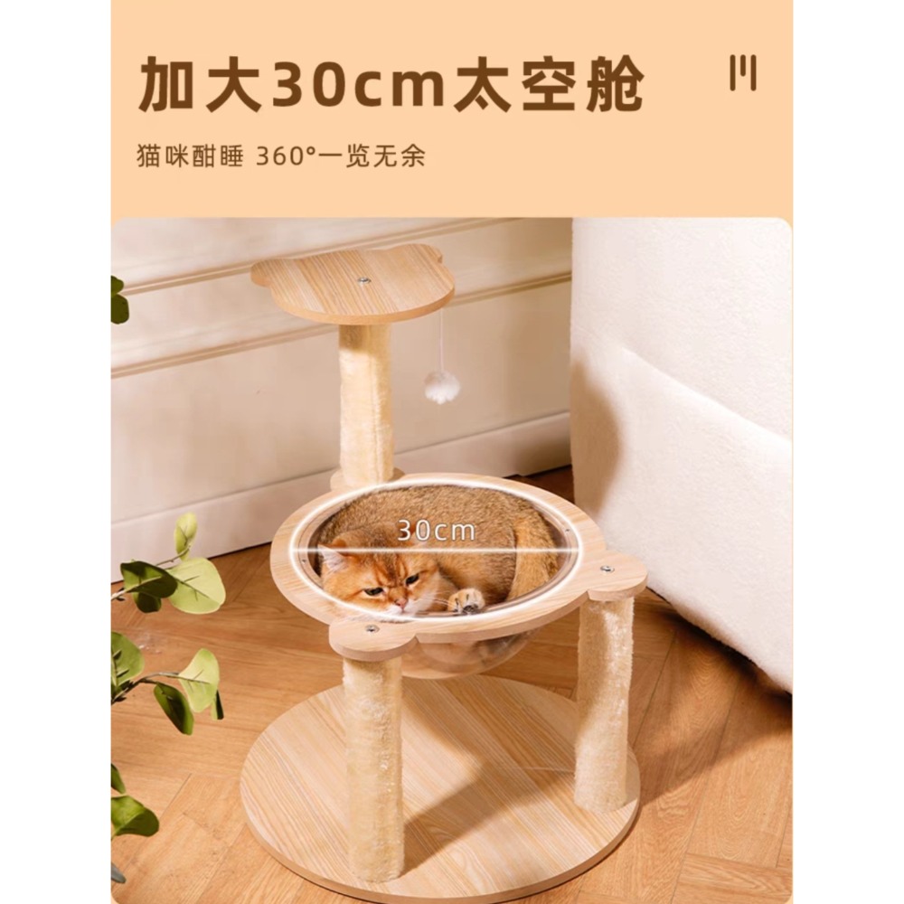 太空艙貓跳台-細節圖3