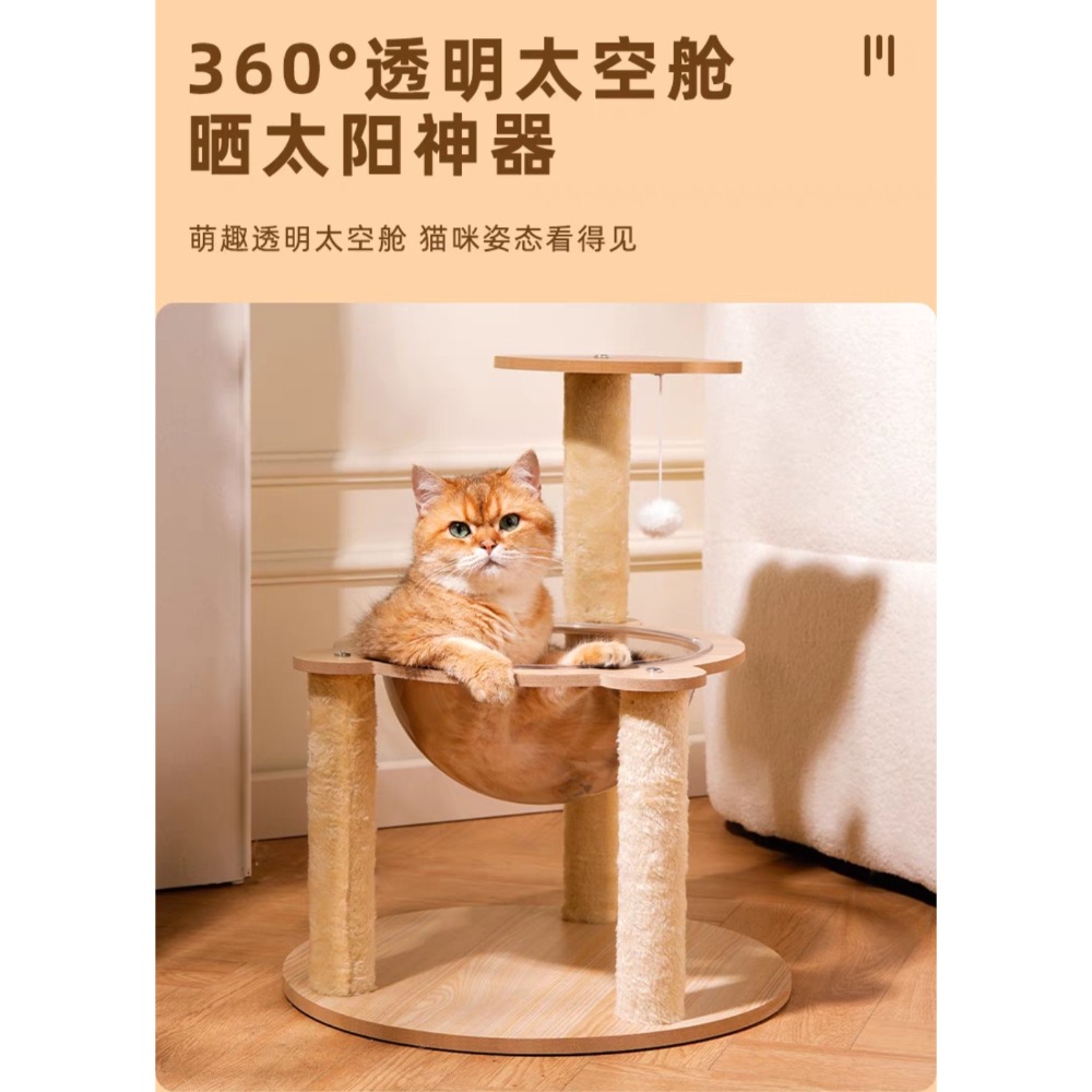 太空艙貓跳台-細節圖4