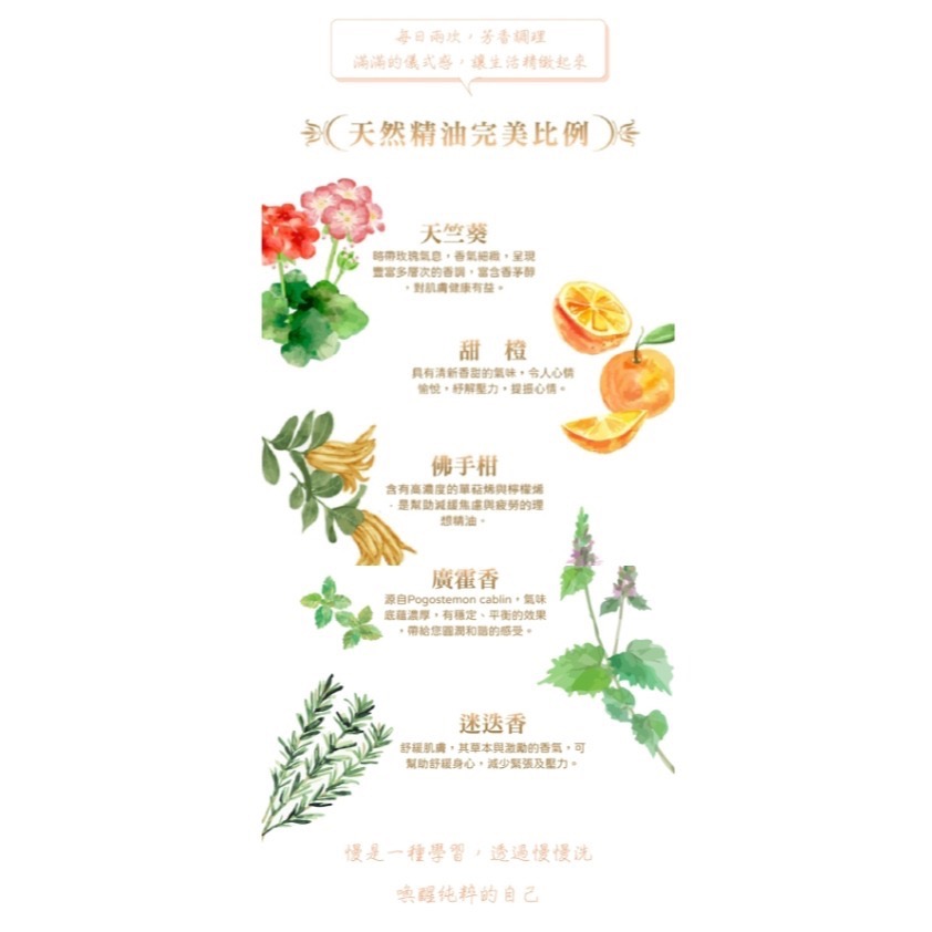 科伊桑胺基酸博士茶潔面霜-細節圖8