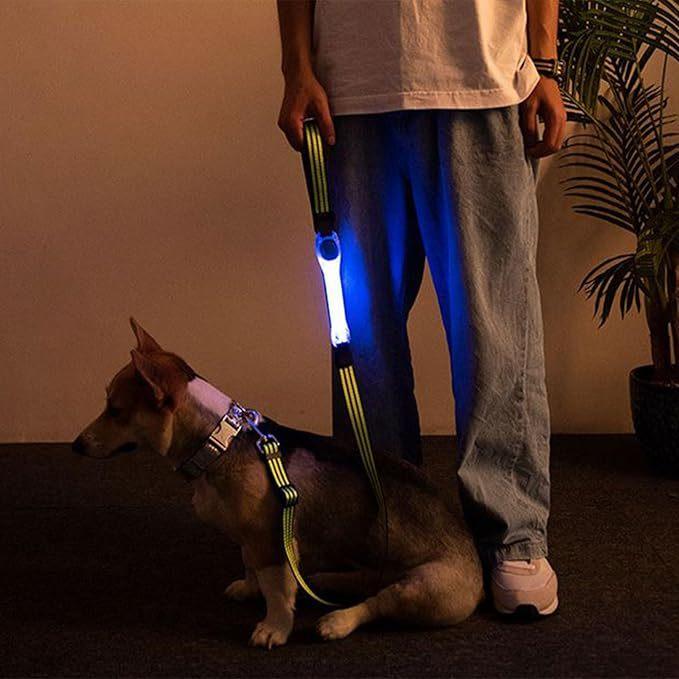【Kiyodo】寵物安全發光項圈-細節圖2