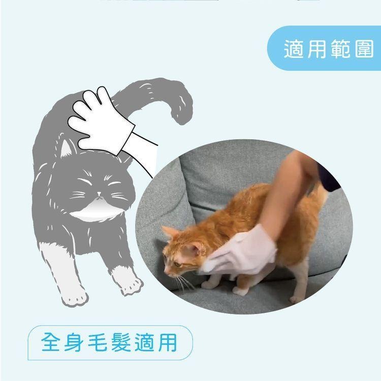 宏瑋KogiPet 貓用 清潔手套 6入/包 純水 不含酒精 添加維他命B5 乾洗手套-細節圖2