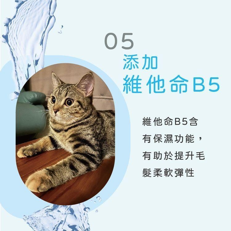 宏瑋KogiPet 貓用 清潔手套 6入/包 純水 不含酒精 添加維他命B5 乾洗手套-細節圖4