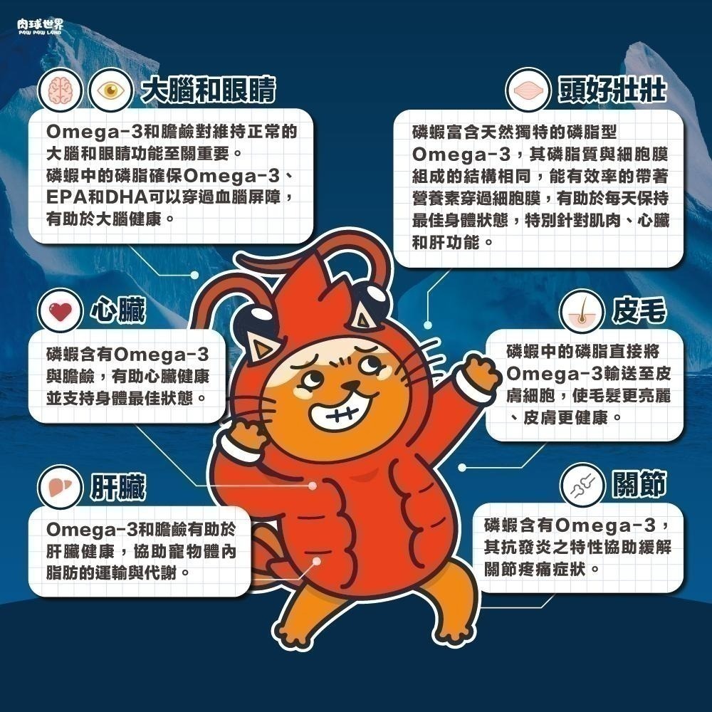 肉球世界 南極磷蝦大肉包 45g/185g 貓餐包 貓主食餐包  餐包 每包添加１％南極磷油(單包/箱購)-細節圖10