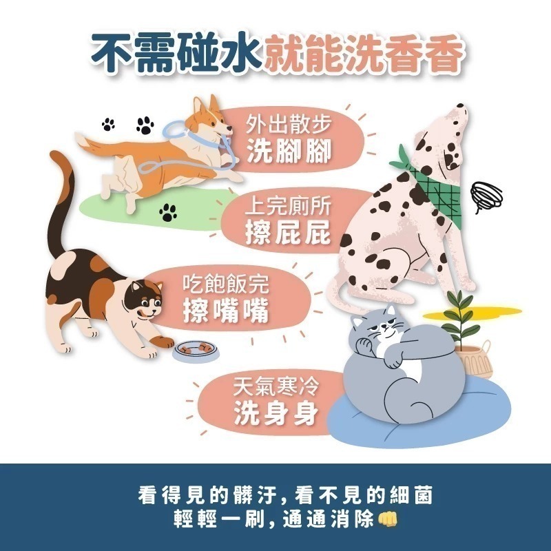 Aether依鈦 寵物肌膚乾洗慕斯150ml 寵物洗腳泡沫 免沖洗 犬貓通用 腳掌清潔 乾洗-細節圖7
