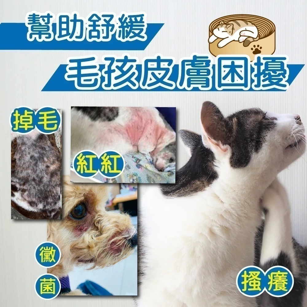 Aether依鈦 寵物抗菌修護凝膠30ml 腳底肉球保濕 黴菌 抗菌 保養皮膚 無藥無類固醇 皮膚不刺激貓咪 犬-細節圖3