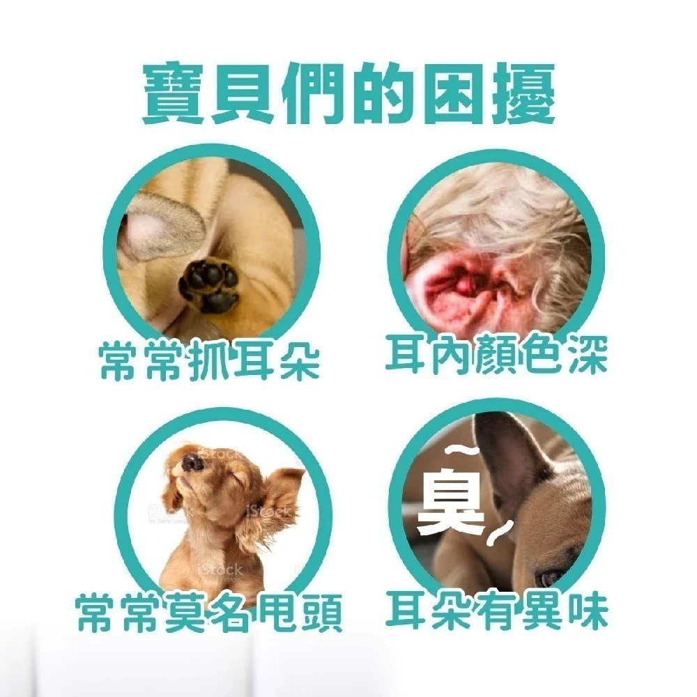 Aether依鈦 寵物專用潔耳液100ml  無色無味 抗菌除臭再清潔 溫和不刺激 無酒精 清耳液 潔耳液-細節圖5