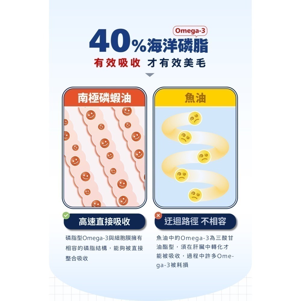 即期優良品 肉球世界 南極磷蝦 營養補充條 貓咪肉泥 貓零食 貓咪零食 寵物零食 寵物肉泥 幼貓零食 貓條 貓泥貓點心-細節圖6