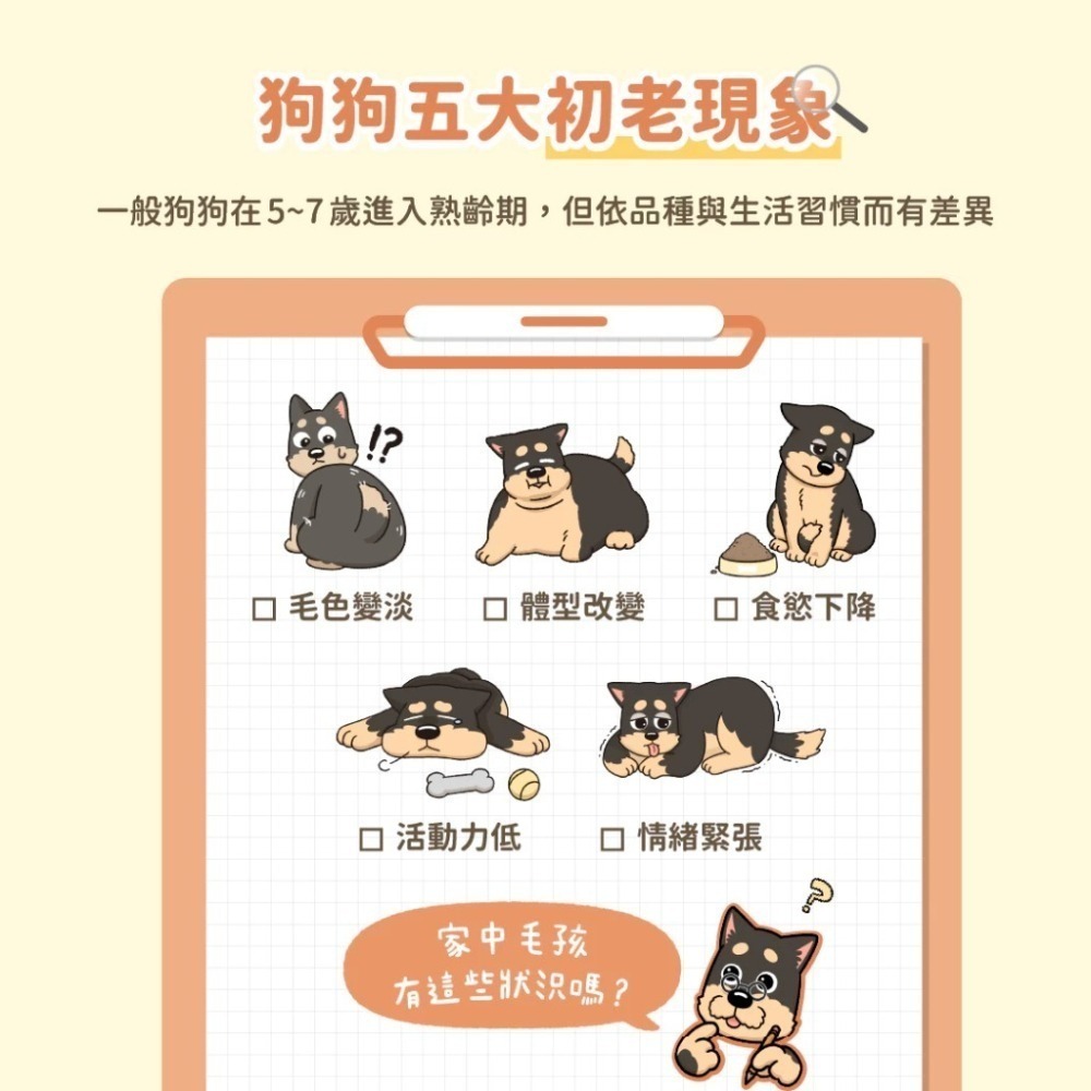 汪喵星球 銀養罐 熟齡犬無膠銀養主食罐 80g / 165g 熟齡犬 低鈉無膠主食罐-細節圖9