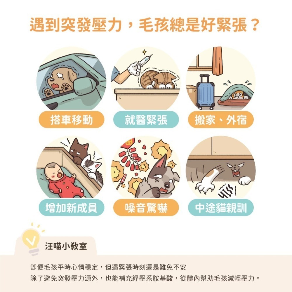 汪喵星球 紓壓胺基酸 犬貓紓壓胺基酸2gx20包 安撫毛孩 舒緩焦慮 茶胺酸 色胺酸 酵母萃取 高適口性 隨手包-細節圖2