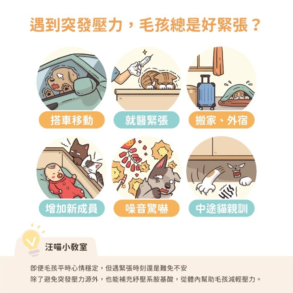 汪喵星球 紓壓胺基酸 犬貓紓壓胺基酸2gx20包 安撫毛孩 舒緩焦慮 茶胺酸 色胺酸 酵母萃取 高適口性 隨手包-細節圖2